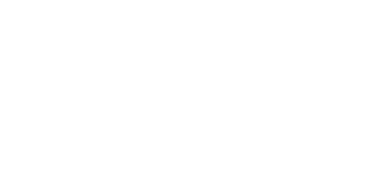 Cyber Scheme